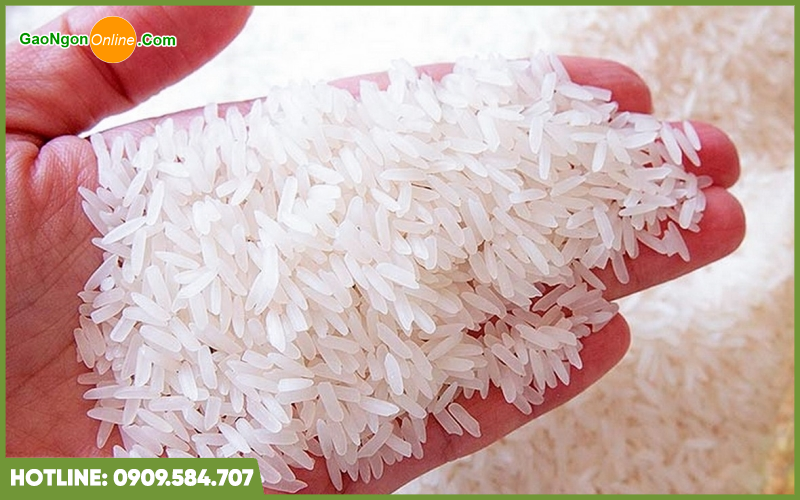 Bảo quản gạo ngon và chất lượng