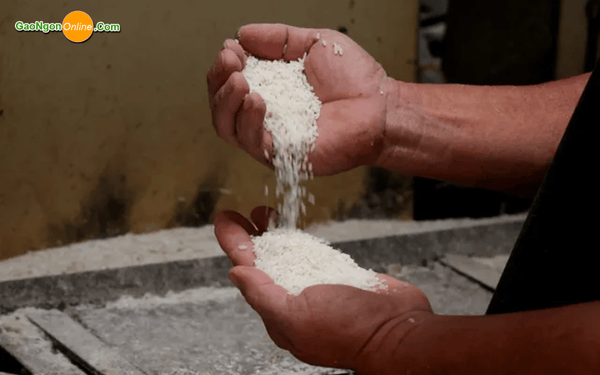 bán gạo từ thiện