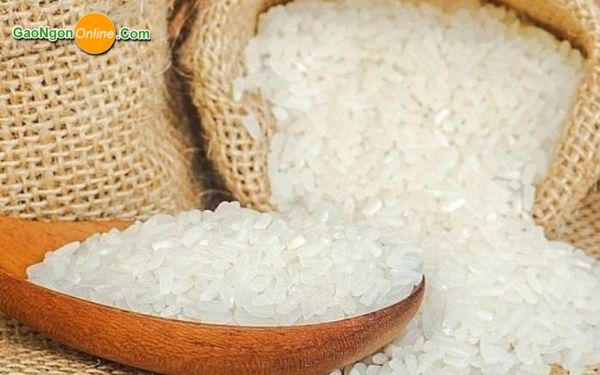 Gạo ngon giá rẻ