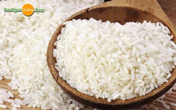 Gạo ngon giá rẻ