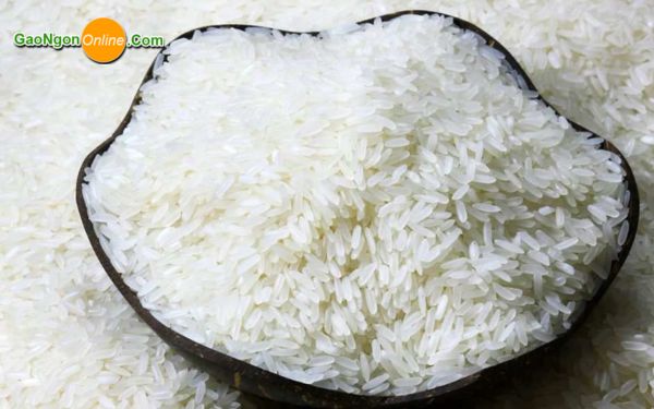 Gạo ngon giá rẻ