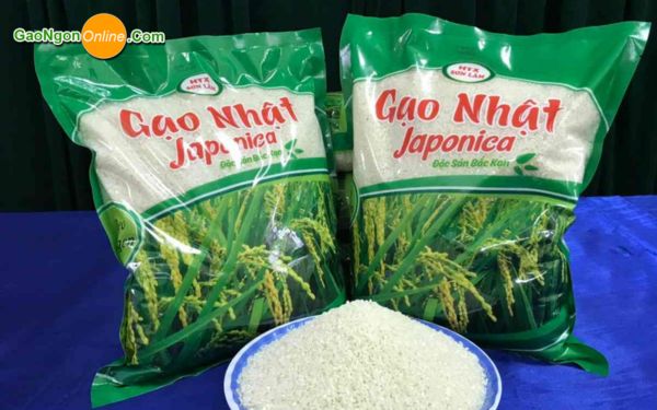 Gạo Nhật Japonica