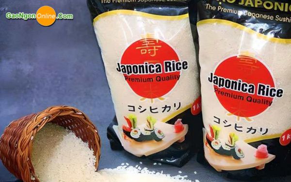 Gạo Nhật Japonica