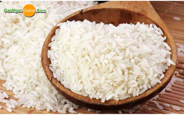 Gạo cho nhà hàng Gạo cho nhà hàng