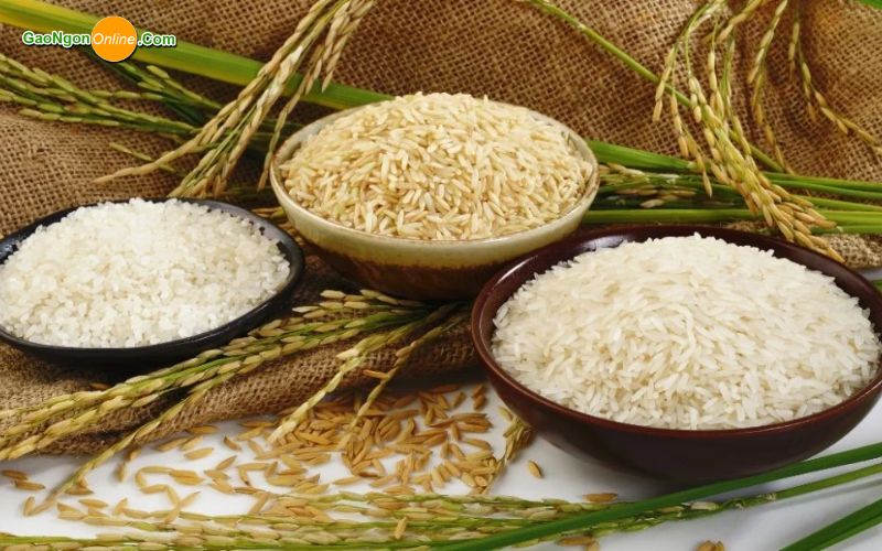 đại lý cung cấp gạo từ thiện quận 2