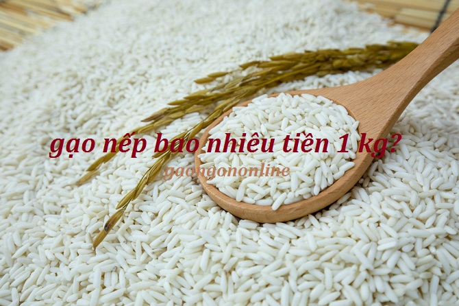 Giá gạo nếp mới nhất tại TP. HCM