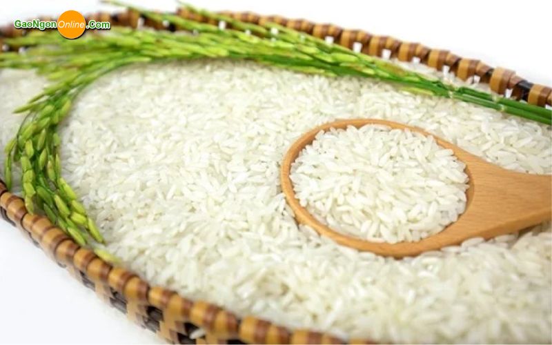 nguồn cung cấp gạo sỉ lẻ tại quận Tân Bình