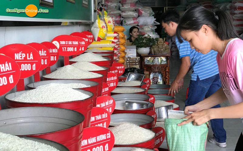 nguồn cung cấp gạo sỉ lẻ tại quận Tân Bình