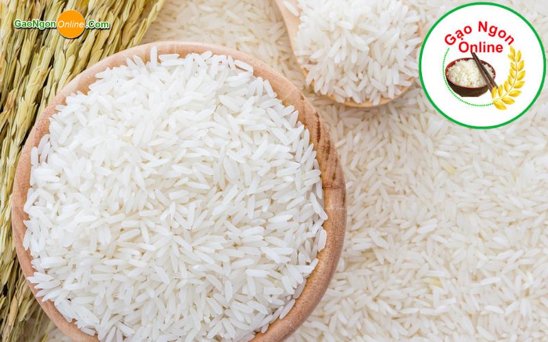 Gạo ngon Online nguồn cung cấp gạo sỉ lẻ tại quận Tân Bình