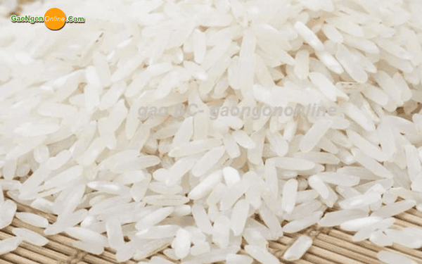 cung cấp gạo giá rẻ cho quán cơm