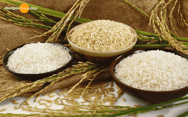 các loại gạo miền nam