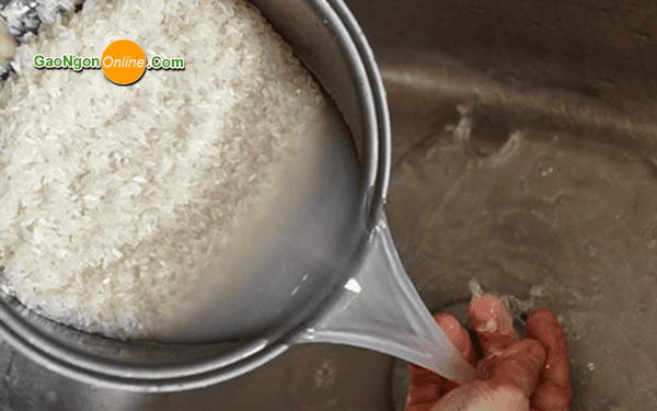 các loại gạo miền nam