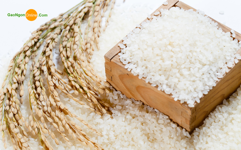 Gạo tấm là gì? Ăn gạo tấm có tốt cho sức khỏe không