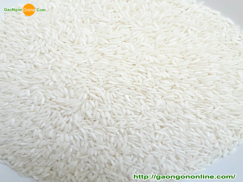 Hỗ trợ gạo lài sữa đặc biệt đóng túi 5kg - 10kg