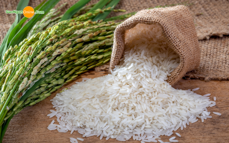 Cách chọn nguyên liệu để nấu rượu gạo ngon: