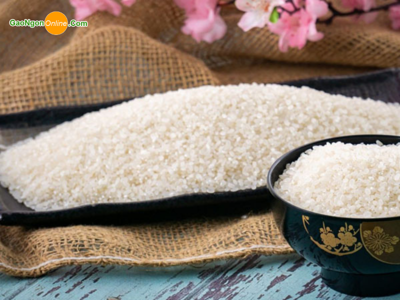 Gạo Nhật Japonica là gì?