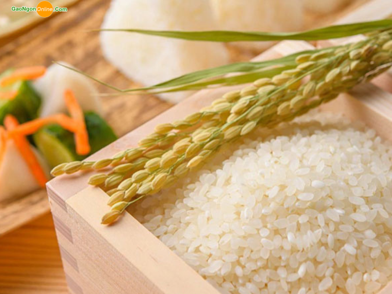 Cách bảo quản gạo Japonica