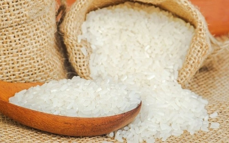 Công ty cổ phần gạo sạch Gia Bảo cung cấp gạo giá tốt