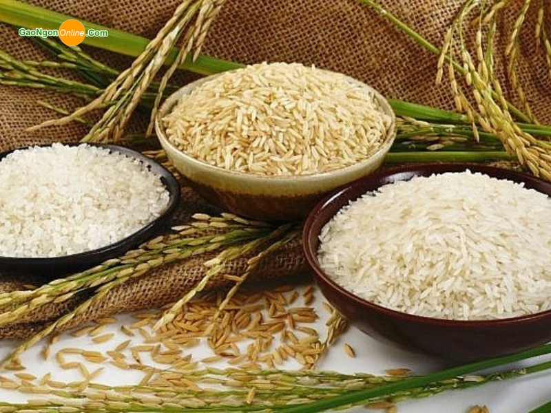 Giá gạo nếp hôm nay bao nhiêu 1kg
