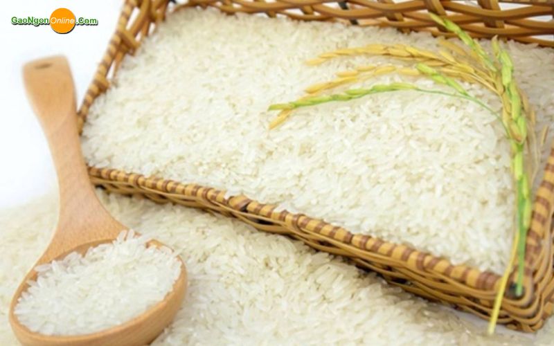 chất lượng gạo tại các đại lý quận 6