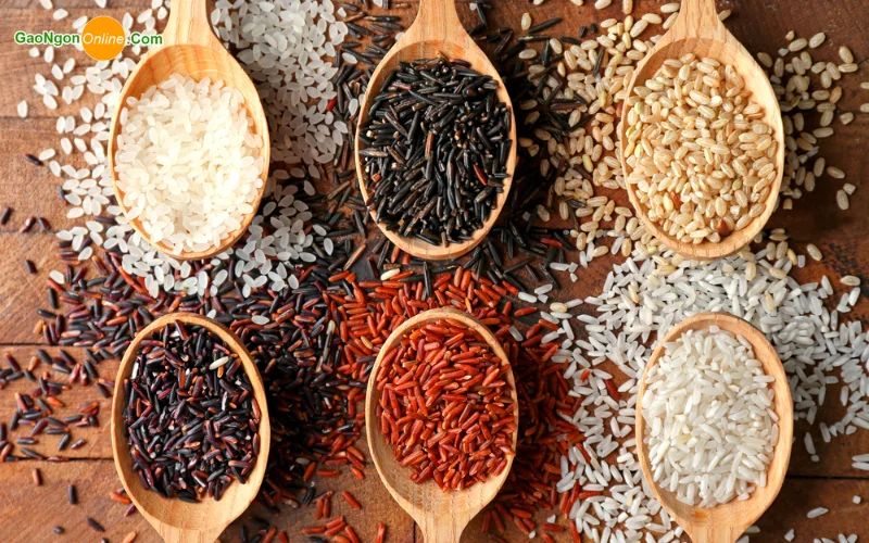 đại lý gạo quận 6