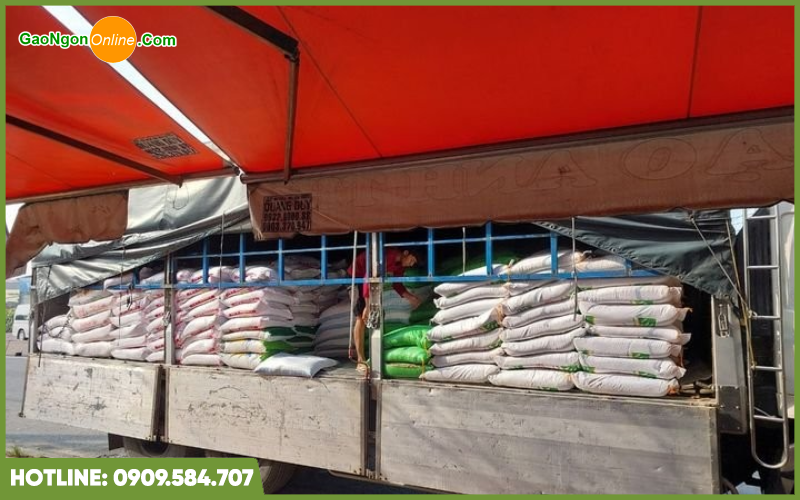 Kho gạo Anh Thi cung cấp gạo chất lượng, giá rẻ