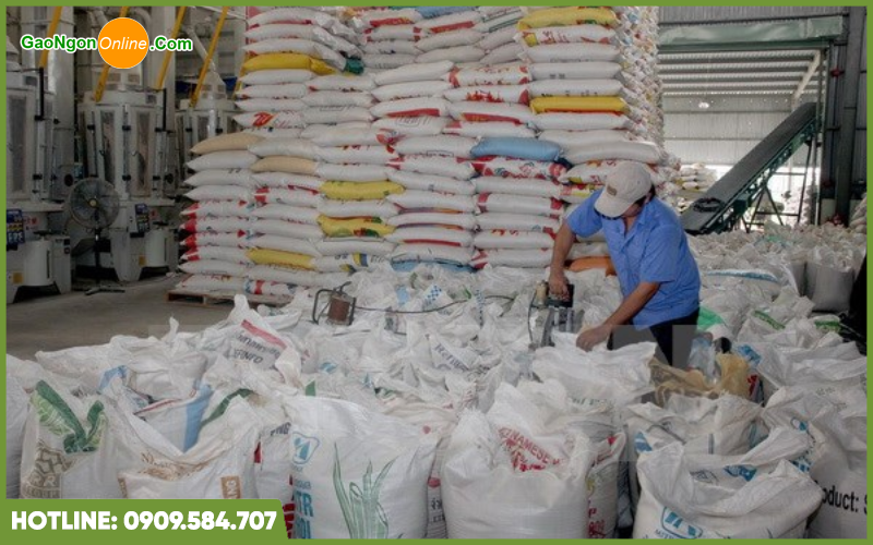 Kho gạo Anh Thi - Đại lý gạo tại Đà Nẵng chất lượng, giá rẻ 