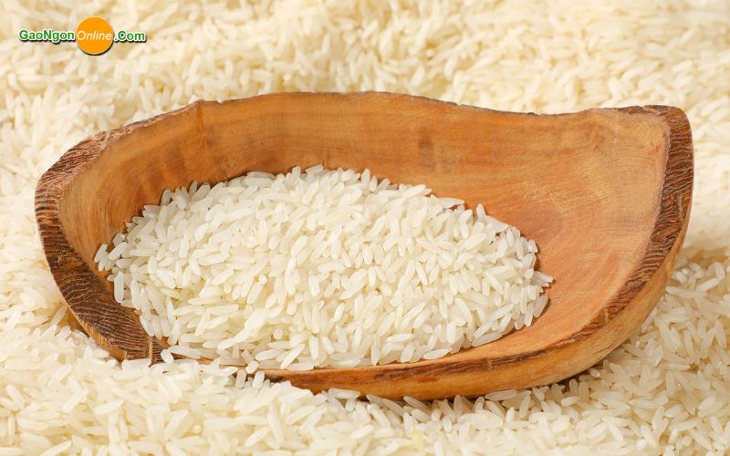 tiêu chí chọn đại lý gạo tân bình