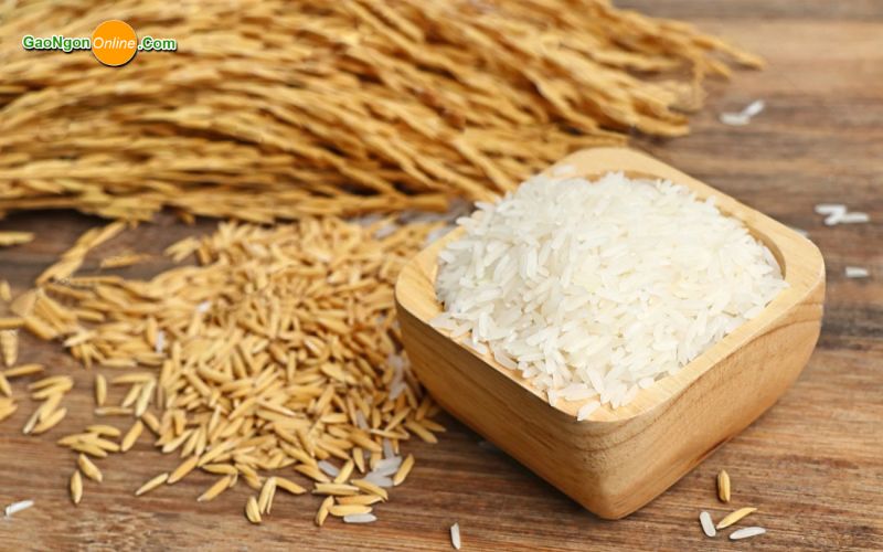 đại lý gạo Tân Bình