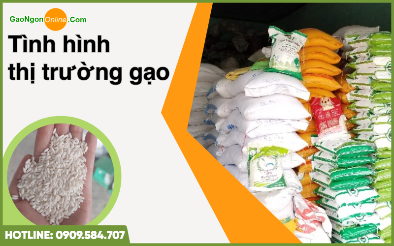 Tình hình thị trường đại lý gạo Biên Hòa 