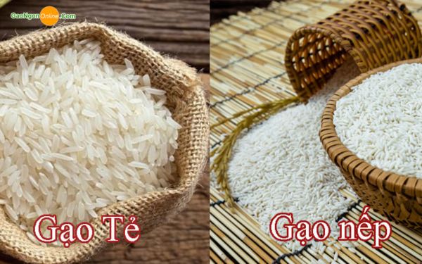 Gạo nếp và gạo tẻ