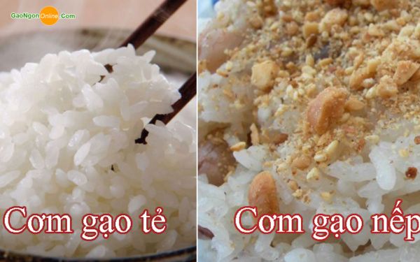 Gạo nếp làm được những món gì?