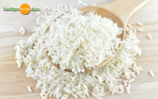 Giá gạo 504 Giá gạo 504