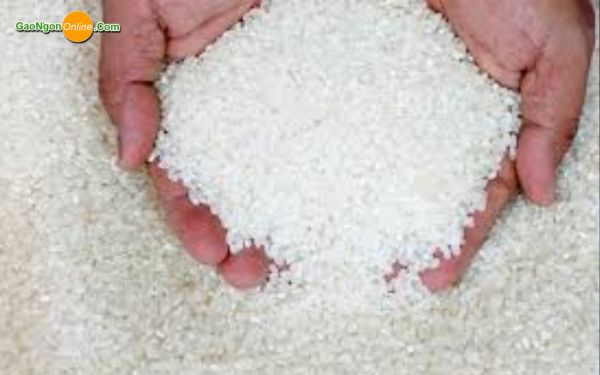 Cung cấp gạo tấm sạch làm bột giá rẻ