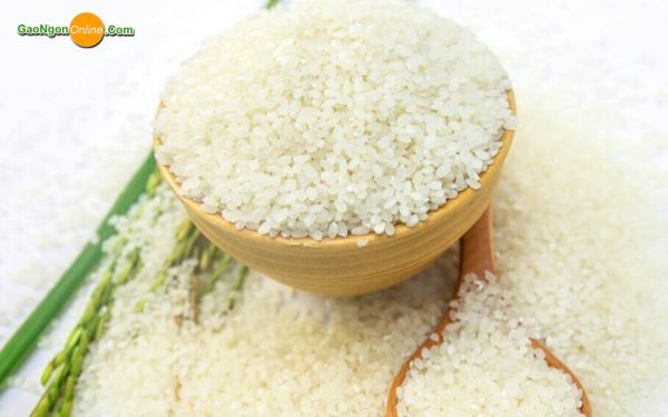 Vì sao nên chọn gạo tấm sạch làm bột thay vì chọn gạo thông thường?