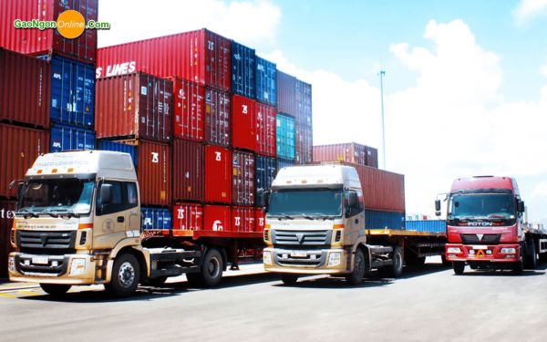 Số lượng, đóng gói và vận chuyển như thế nào?