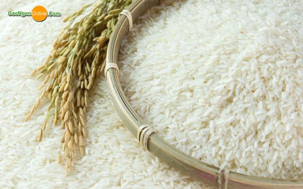 Các hình thức hỗ trợ từ VIO RICE dành cho doanh nghiệp làm từ thiện