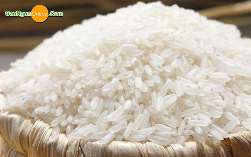 Gạo ngon online nơi cung cấp gạo làm bún uy tín