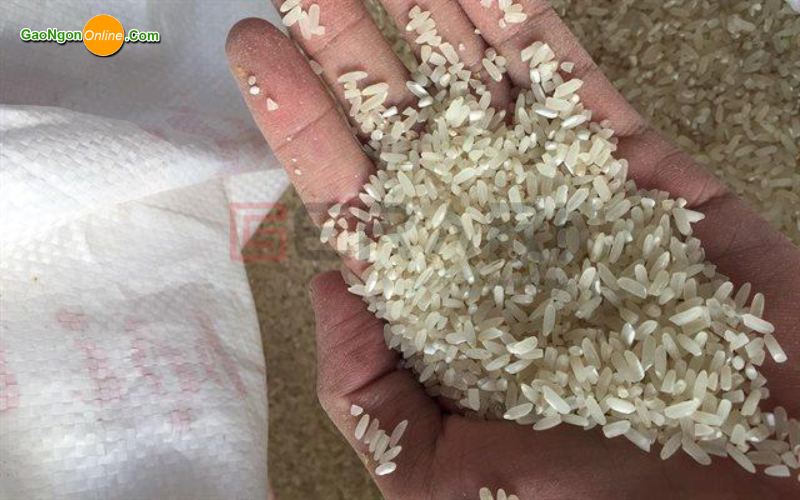 Kiểm tra chất lượng gạo Tân Bình