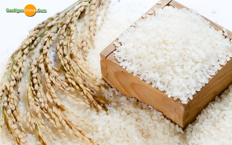 Chất lượng gạo từ thiện đóng gói