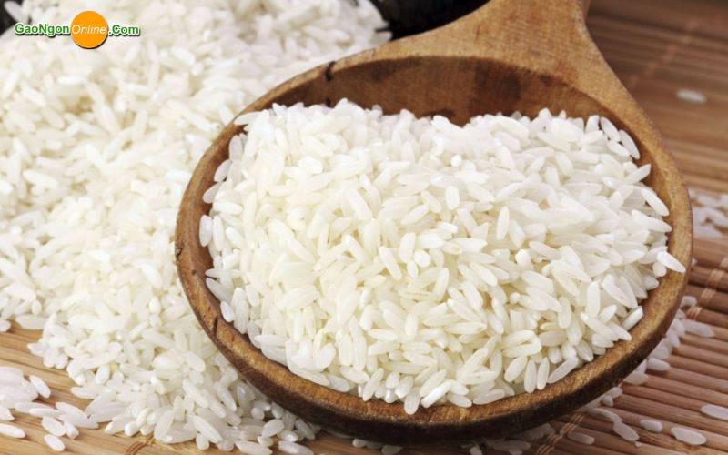 Gạo nếp thái là gì? Vì sao được ưa chuộng?