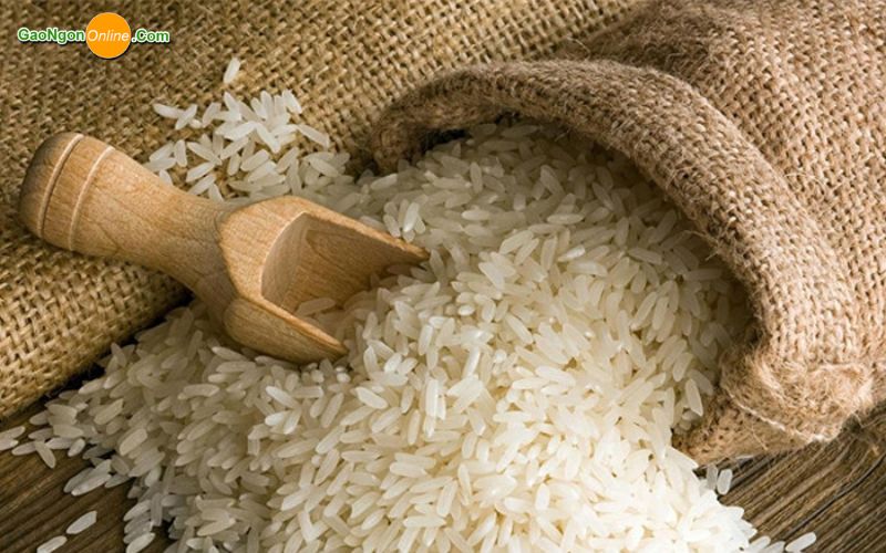 Cung cấp gạo nếp thái cho công ty, nhà máy