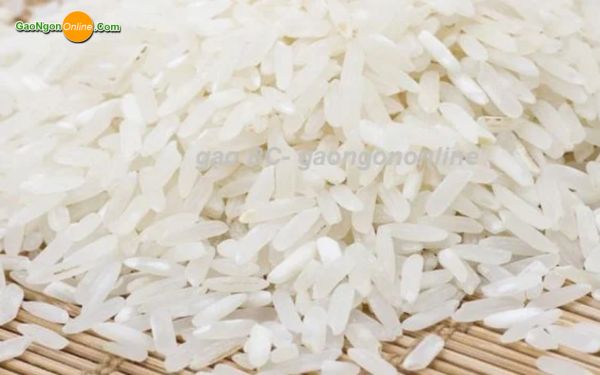 Gạo BC là gạo gì? Giá hôm nay bao nhiêu? Mua ở đâu uy tín?
