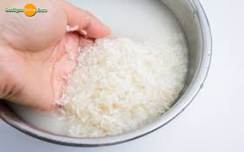 Mẹo ngâm gạo nấu cháo đúng cách