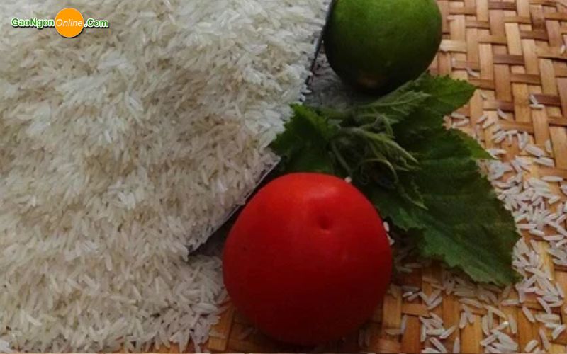 Giá gạo 504 cũ hiện nay