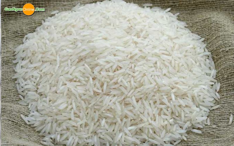 Mua gạo 504 cũ tại các khu vực trọng điểm