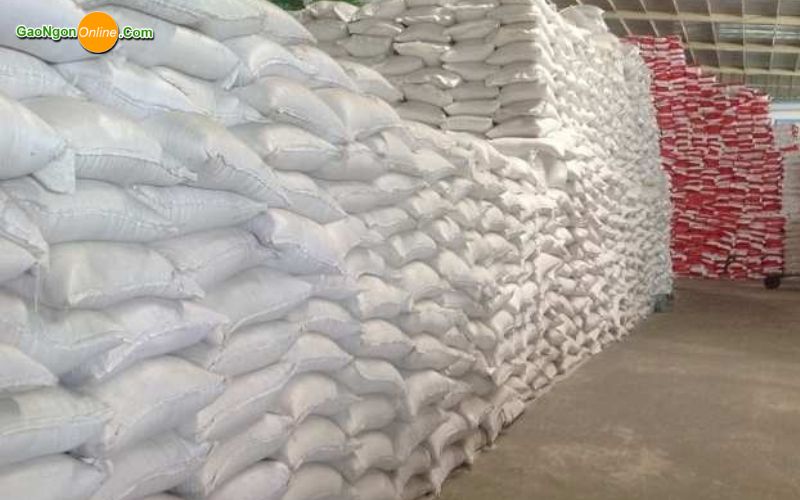 Các loại gạo phổ biến được cung cấp số lượng lớn