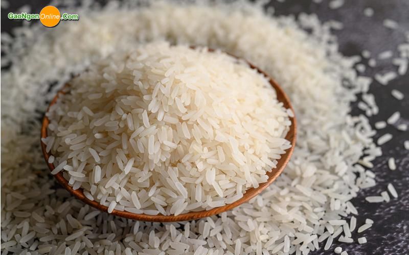 Các loại gạo phổ biến được cung cấp số lượng lớn