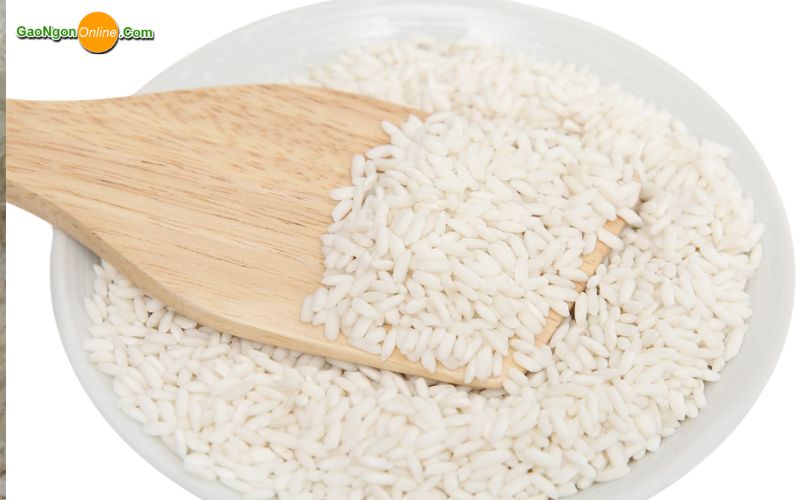 Giá nếp sáp hiện nay