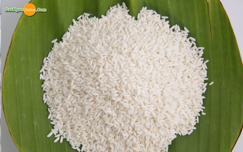 Mua nếp sáp tại Quận 1 cho quán ăn và nhà hàng
